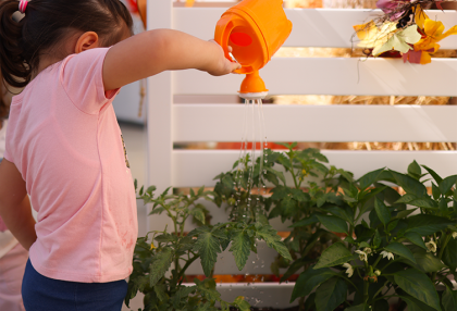 Social & Emotional Development